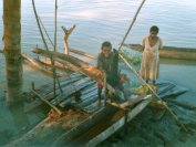 Fabrication du sagu : on entraine la fécule avec de l'eau et on la récupère Fabrication du sagu : on entraine la fécule avec de l'eau et on la récupère