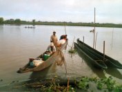 Canoes sur le fleuve Sepik