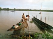 Canoes sur le fleuve Sepik Canoes sur le fleuve Sepik