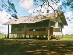 Guesthouse dans le Sepik Guesthouse dans le Sepik
