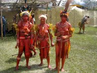 Sing-Sing à Goroka Sing-Sing à Goroka