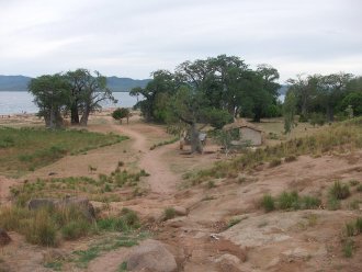 Baobabs sur Likoma Island