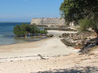 Mangrove et Forteresse