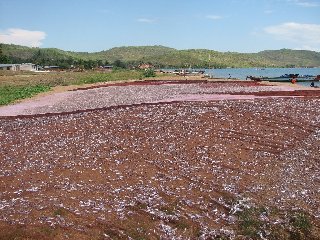 Karema (Lac Tanganyika)