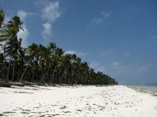 plage tropicale