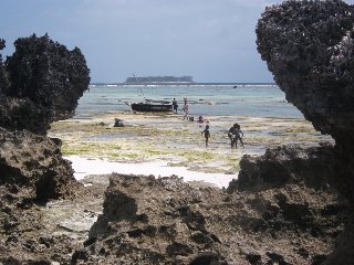 Pêcheurs à pied