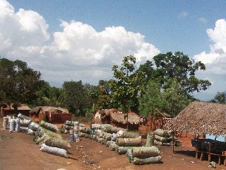 Vente de charbon de bois