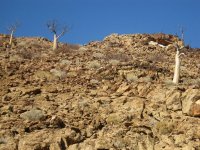 paysage typique des collines pierreuses de Namibie