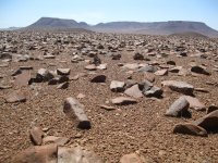 désert de pierres entre Twyfelfontein et la Skeleton Coast