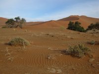 Dune près de Sossusvlei