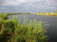 Le Fleuve Okavango à Rundu : de l'autre coté c'est l'Angola