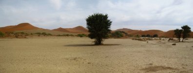 au fond du salar de Sossusvlei