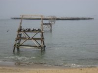 au nord de Walvis Bay : cette plateforme sert maintenant de lieu de nidification pour des milliers d'oiseaux de mer