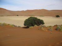 Sossusvlei