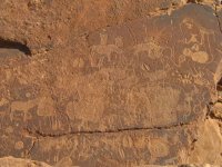 animaux gravés à Twyfelfontein