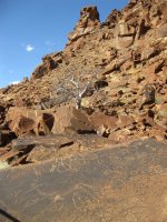 symboles gravés à Twyfelfontein