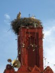 Un des nombreux minarets de Tlemcen Un des nombreux minarets de T