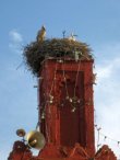 Un des nombreux minarets de T