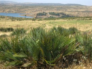 Barrage El Mefrouch au dessus de Lalla Setti