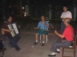 l'accordéoniste et les autres musiciens