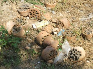 briquettes consumées