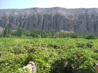 Turpan : la Vallée des Raisins