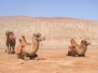 Turpan : au pied des Monts Flamboyants