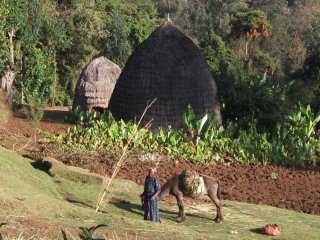 Maisons traditionnelles en Pays Dorzé