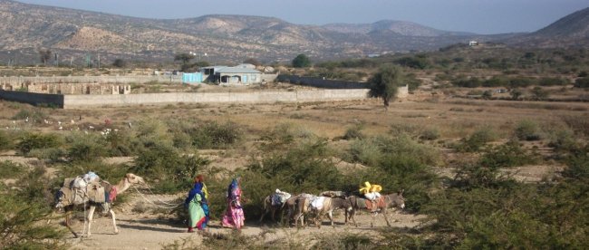 Tout près de Borama