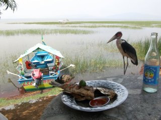 Repas (poisson grillé) au bord du Lac Awasa ; je suis surveillé.