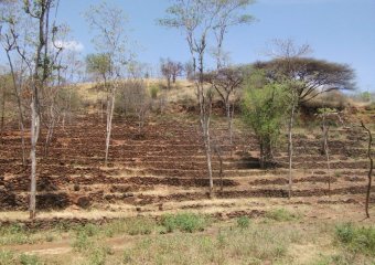 Paysage du Pays de Konso, inscrit au Patrimoine Mondial de l'Humanité