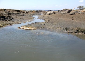 Source d'eau bouillante au bord du Lac Sala