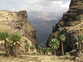 Montagnes du Simien