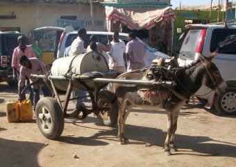 Distribution d'eau au centre de Hargeisa. Cette eau sert surtout à préparer le thé qui est la boisson la plus consommée ici.