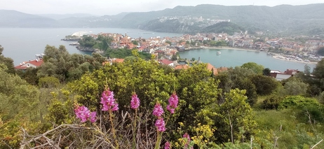L'antique Sesamos est devenue Amastris puis Amasra, sur la mer Noire Amasra, sur la mer Noire
