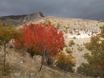 Paysage d'Anatolie Paysage d'Anatolie