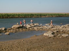 Baignade et pêche dans la Syr-Daria Baignade et pêche dans la Syr-Daria
