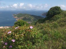 Lamma Island est la troisième île du territoire par sa superficie. Elle est située entre Hong Kong et Lantau, un peu au Sud. Elle est un peu touristique, mais il n'y a pas de voitures sur cette île. Lamma Island est la troisième île du territoire par sa superficie. Elle est située entre Hong Kong et Lantau, un peu au Sud. Elle est un peu touristique, mais il n'y a pas de voitures sur cette île.
