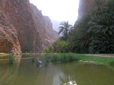 La partie inférieure de Wadi Shabs La partie inférieure de Wadi Shabs