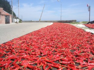 La cuisine coréenne utilise beaucoup le piment. La cuisine coréenne utilise beaucoup le piment.