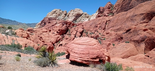 Red Rock Canyon, à l'ouest de Las Vegas, Nevada Red Rock Canyon, à l'ouest de Las Vegas, Nevada