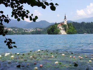 Bled : le Lac de Bled et l'île avec l'église néogothique. Bled