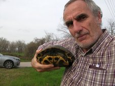 Mon amie la Tortue, rencontrée sur une route du Texas Mon amie la Tortue, rencontrée sur une route du Texas