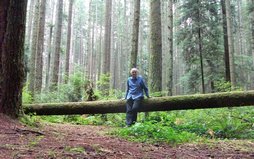 Promenade en forêt près de l'Université